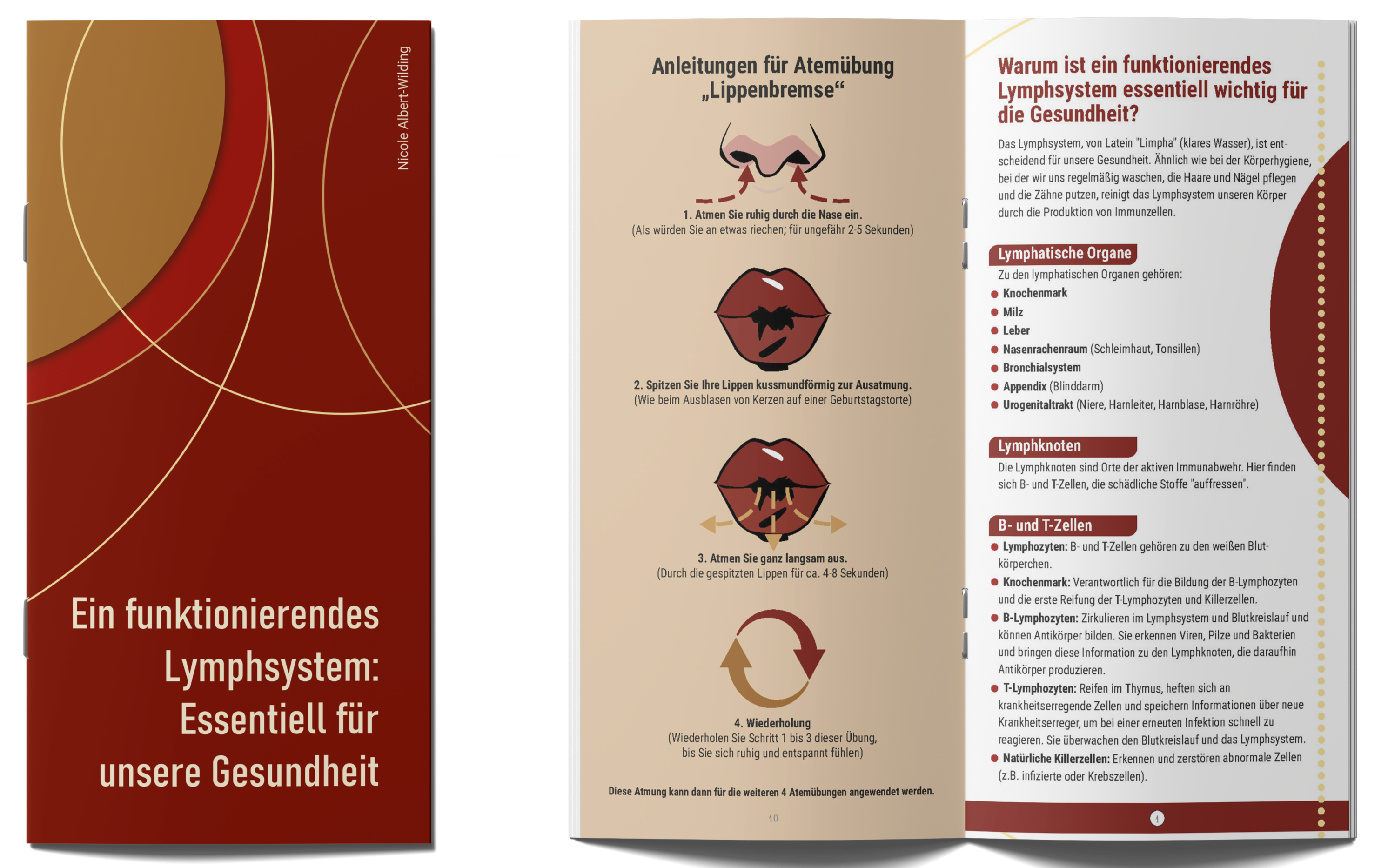 Ein funktionierendes Lymphsystem – von Nicole Albert-Wilding, Graphic: Chili Gallei